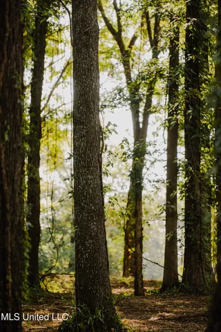 $749,000 | 6710 Money Road, Greenwood, MS 38930