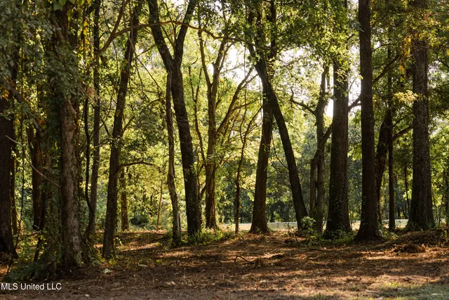 $749,000 | 6710 Money Road, Greenwood, MS 38930