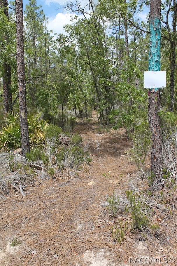 Tbd Northeast 56th Street Bronson, FL 32621 - Photo 16 of 26