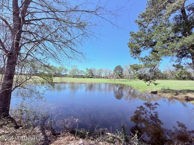 Sanders Road Kentwood, LA 70444 - Photo 1 of 33 Pond View