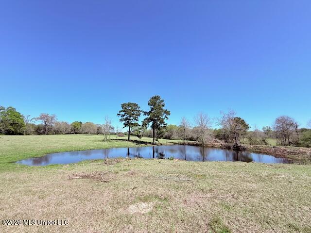 Sanders Road Kentwood, LA 70444 - Photo 11 of 33 IMG_3185