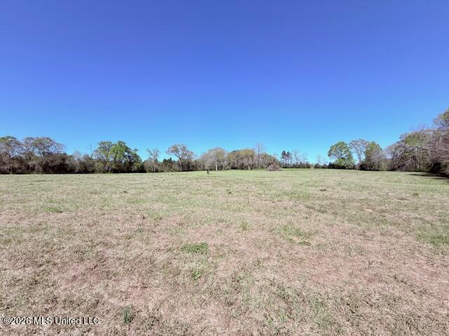 Sanders Road Kentwood, LA 70444 - Photo 14 of 33 IMG_3189