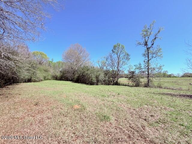Sanders Road Kentwood, LA 70444 - Photo 15 of 33 IMG_3190