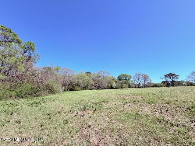 Sanders Road Kentwood, LA 70444 - Photo 18 of 33 IMG_3193
