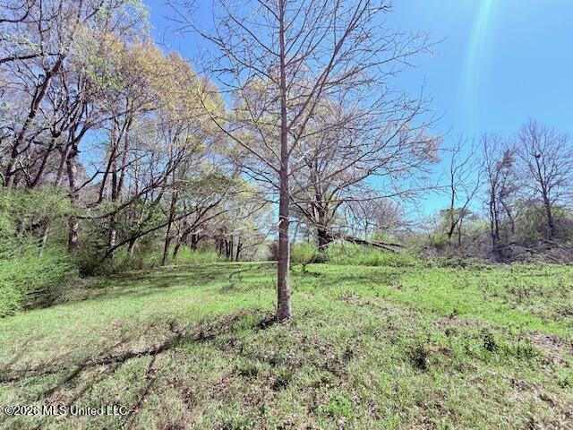 Sanders Road Kentwood, LA 70444 - Photo 20 of 33 IMG_3195