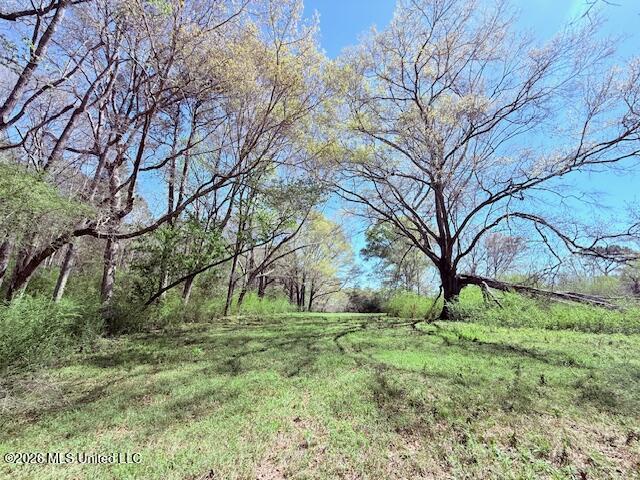 Sanders Road Kentwood, LA 70444 - Photo 21 of 33 IMG_3196