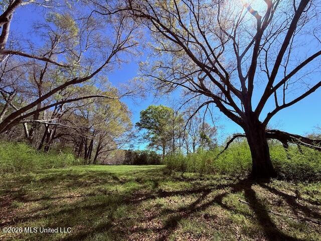 Sanders Road Kentwood, LA 70444 - Photo 22 of 33 IMG_3197