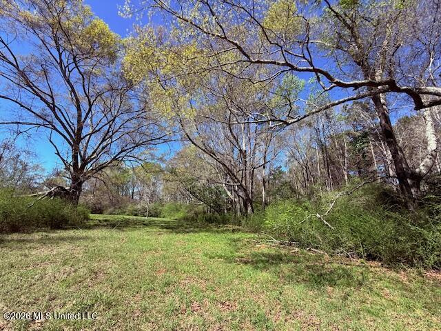Sanders Road Kentwood, LA 70444 - Photo 23 of 33 IMG_3198