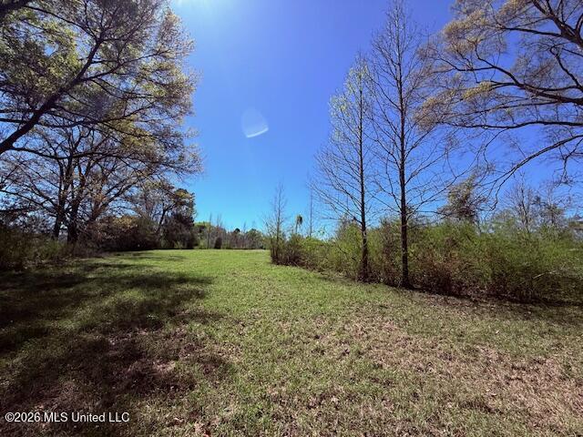 Sanders Road Kentwood, LA 70444 - Photo 24 of 33 IMG_3199