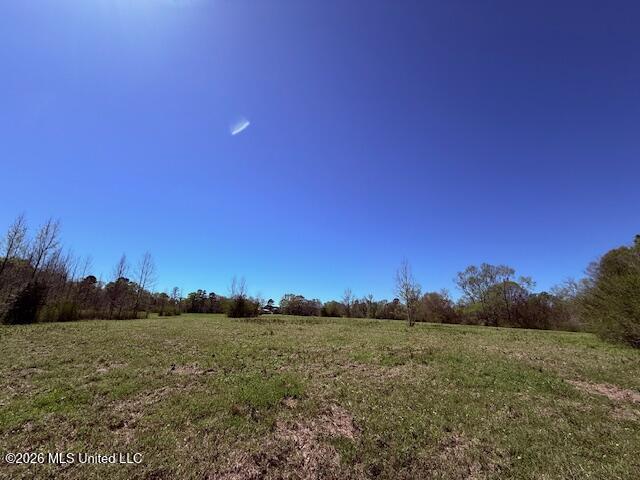 Sanders Road Kentwood, LA 70444 - Photo 25 of 33 IMG_3200