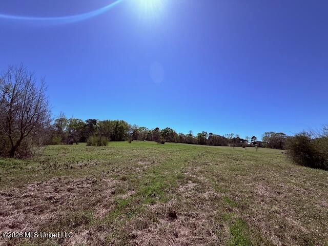 Sanders Road Kentwood, LA 70444 - Photo 26 of 33 IMG_3201