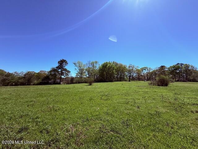Sanders Road Kentwood, LA 70444 - Photo 27 of 33 IMG_3202