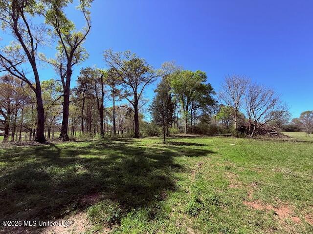 Sanders Road Kentwood, LA 70444 - Photo 29 of 33 IMG_3204