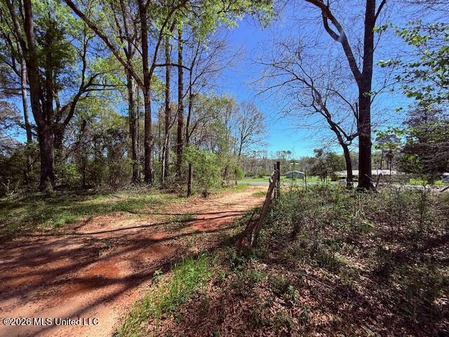Sanders Road Kentwood, LA 70444 - Photo 30 of 33 IMG_3207