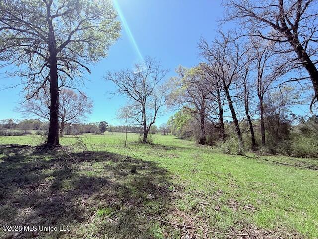 Sanders Road Kentwood, LA 70444 - Photo 3 of 33 IMG_3177