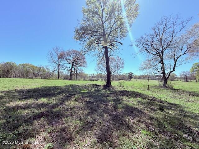 Sanders Road Kentwood, LA 70444 - Photo 4 of 33 IMG_3178