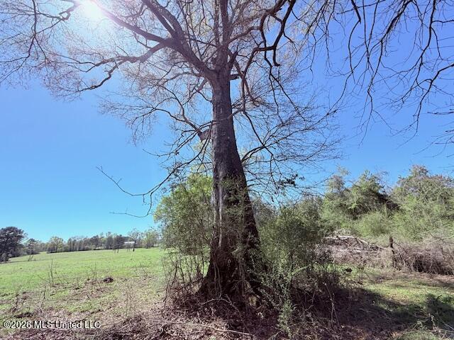 Sanders Road Kentwood, LA 70444 - Photo 5 of 33 IMG_3179
