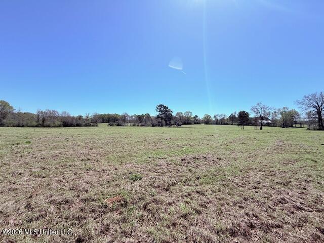 Sanders Road Kentwood, LA 70444 - Photo 8 of 33 IMG_3182
