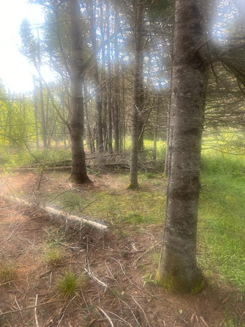 0 Pleasant River Road Milo, ME 04463 - Photo 15 of 26 IMG_20230902_111457