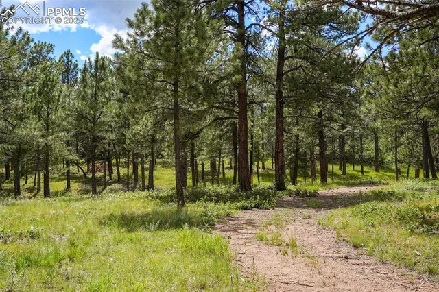 $1,150,000 | 325 Pine Oaks Road, Colorado Springs, CO 80926