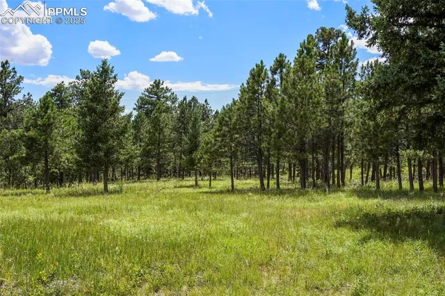 $1,150,000 | 325 Pine Oaks Road, Colorado Springs, CO 80926