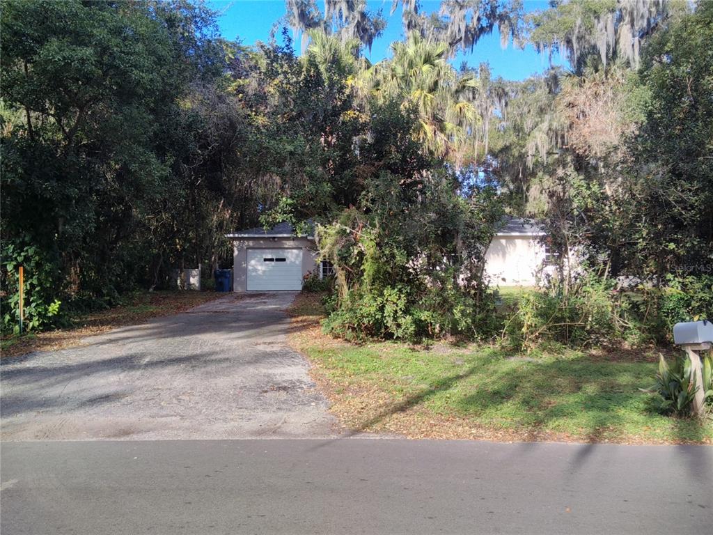 487 Rylane Street De Leon Springs, FL 32130 - Photo 2 of 40 a view of a yard with large trees