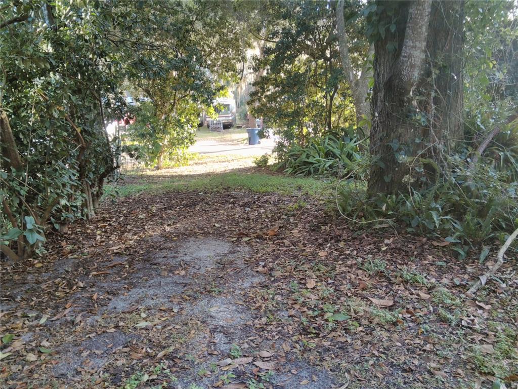 487 Rylane Street De Leon Springs, FL 32130 - Photo 38 of 40 a view of a yard with large trees