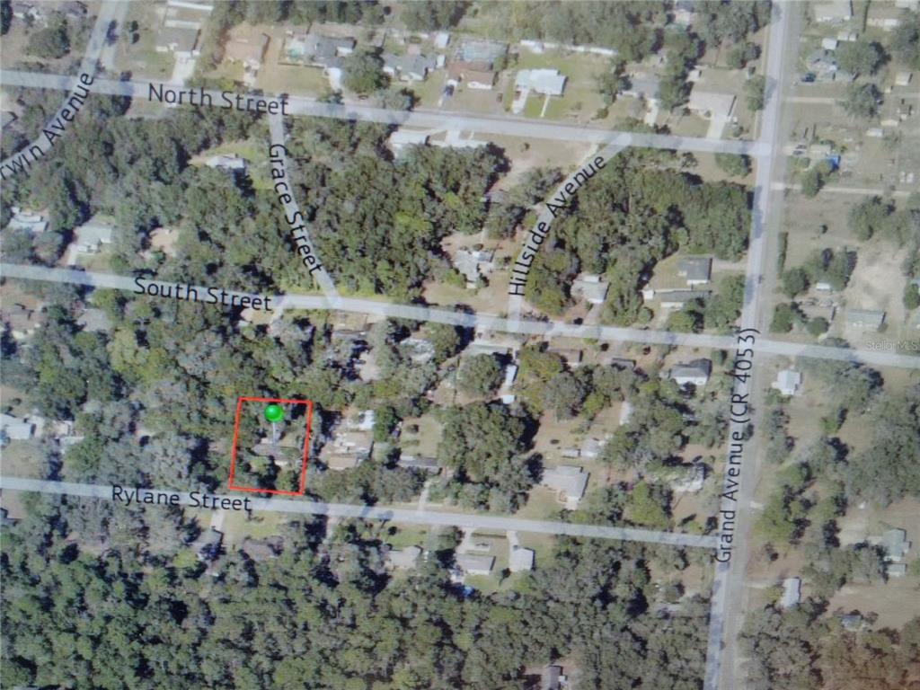 487 Rylane Street De Leon Springs, FL 32130 - Photo 40 of 40 a view of a forest with a building