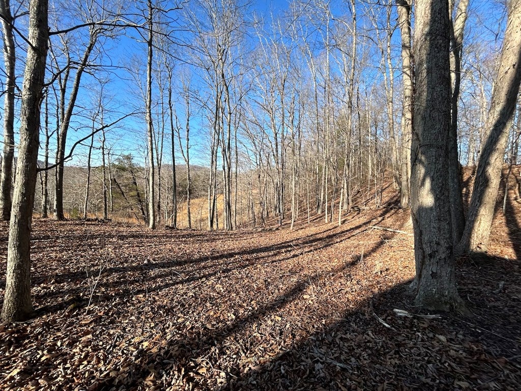 35.9-ac Rural Retreat Lake Road, Unit 7D Rural Retreat, VA 24368 - Photo 28 of 46 Gallery Image 28