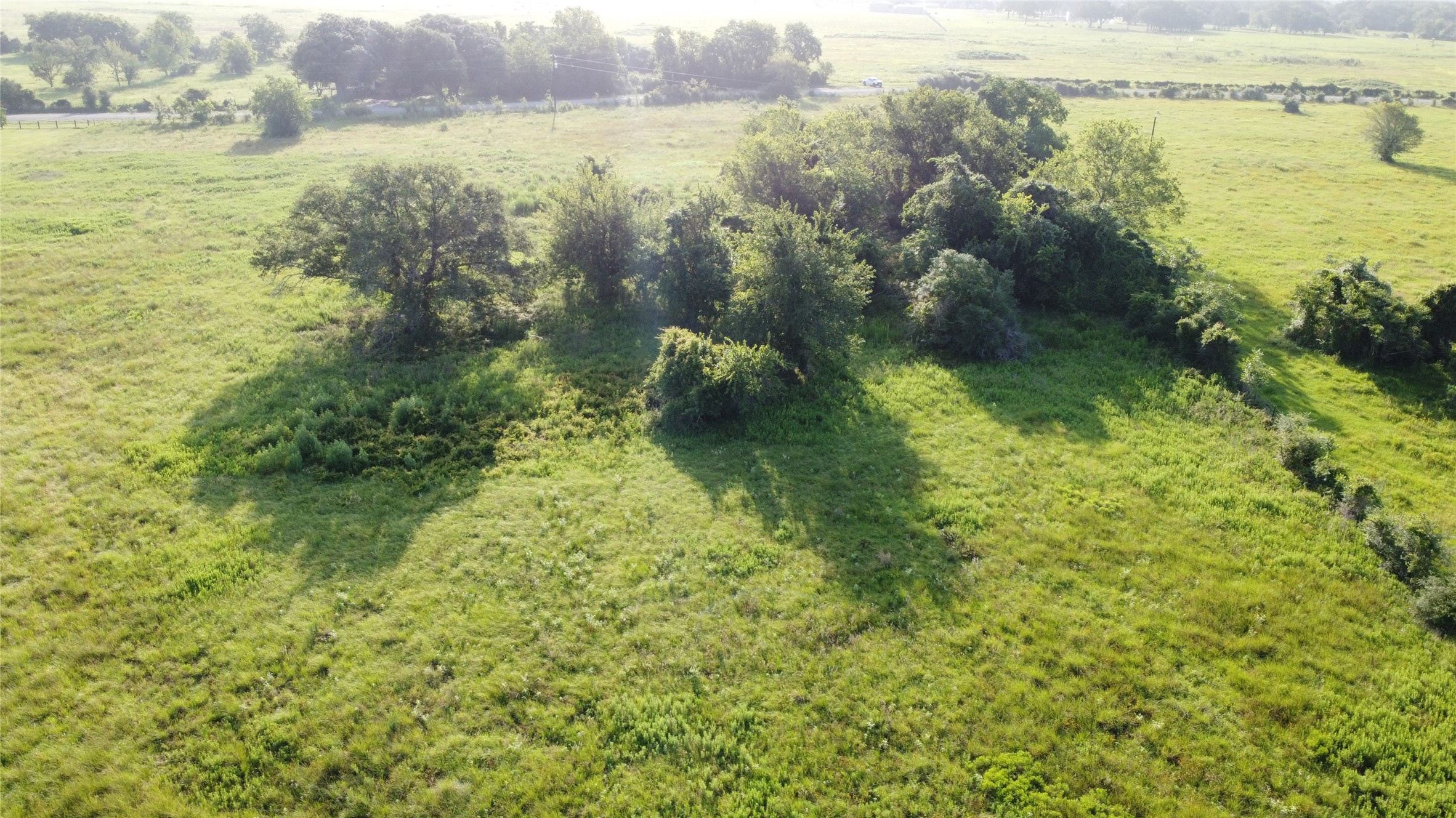 23579 Jones Road Hempstead, TX 77445 - Photo 4 of 10