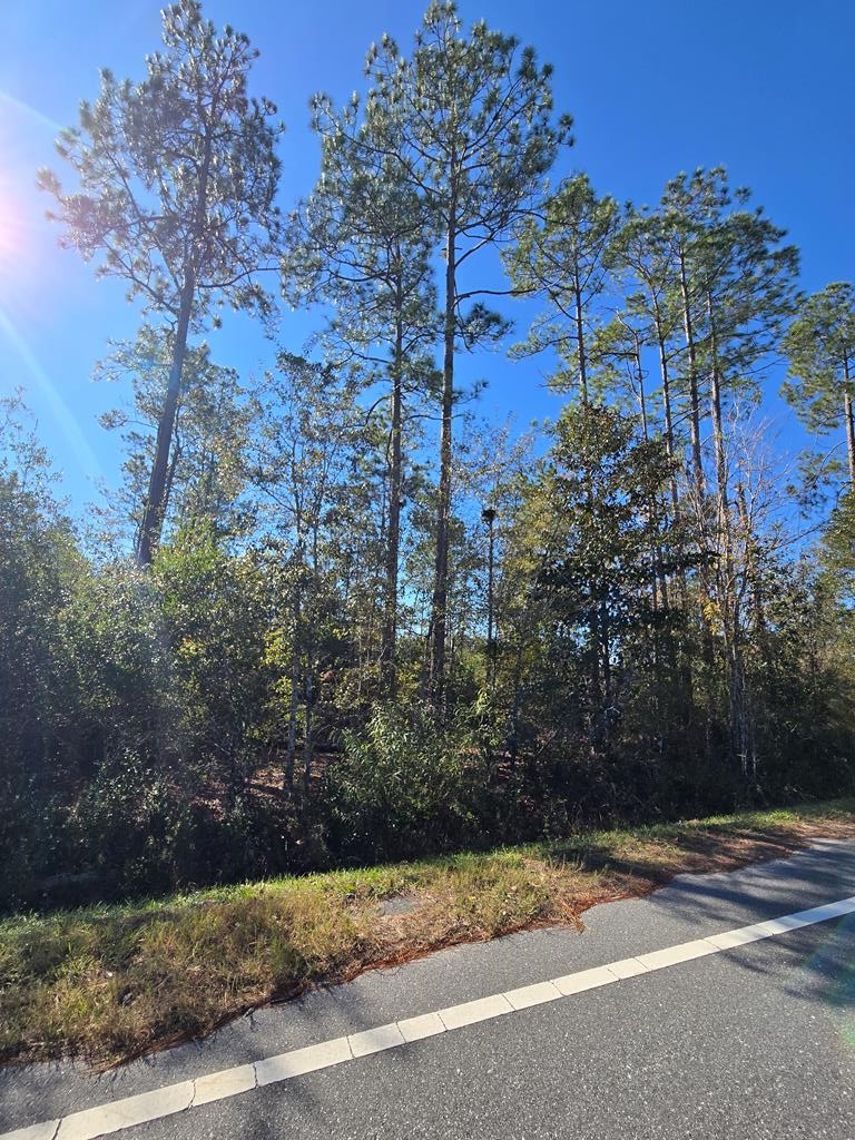 Lot 31 Doc Whitfield Road Wewahitchka, FL 32465 - Photo 1 of 5