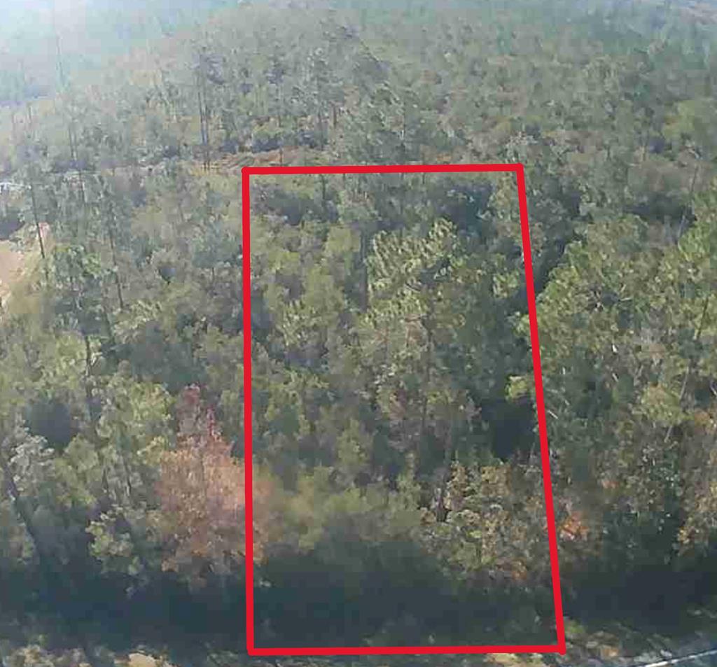 Lot 31 Doc Whitfield Road Wewahitchka, FL 32465 - Photo 2 of 5