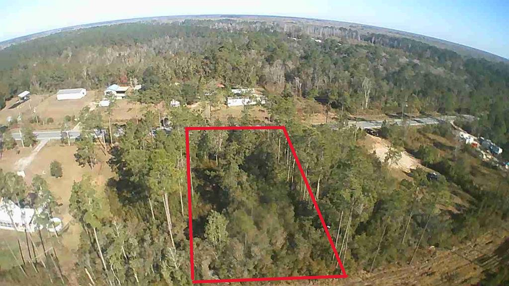 Lot 31 Doc Whitfield Road Wewahitchka, FL 32465 - Photo 3 of 5
