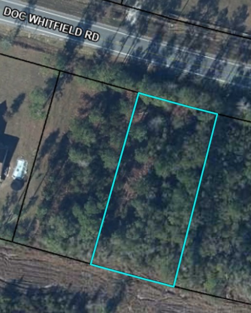 Lot 31 Doc Whitfield Road Wewahitchka, FL 32465 - Photo 4 of 5