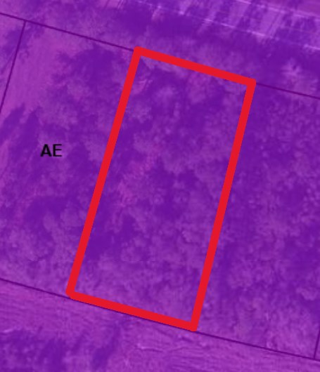 Lot 31 Doc Whitfield Road Wewahitchka, FL 32465 - Photo 5 of 5