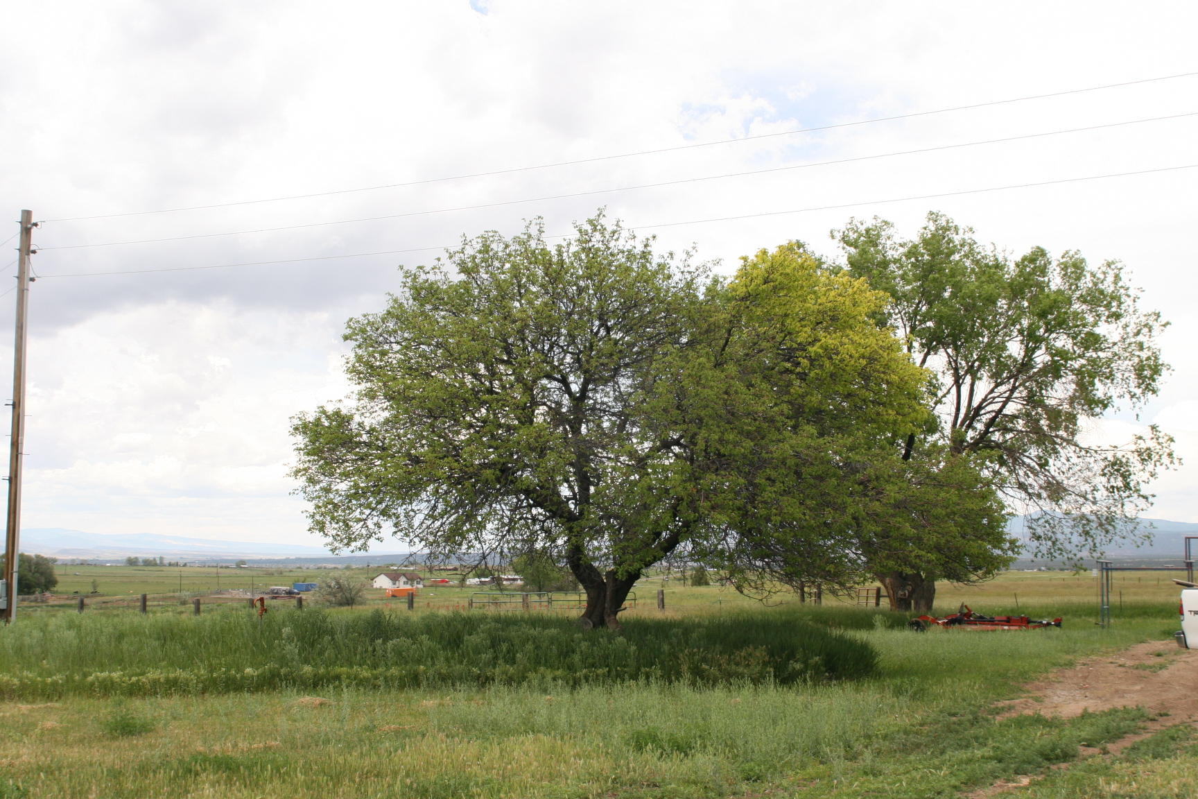 35310 Highway 145 Redvale, CO 81431 - Photo 20 of 38