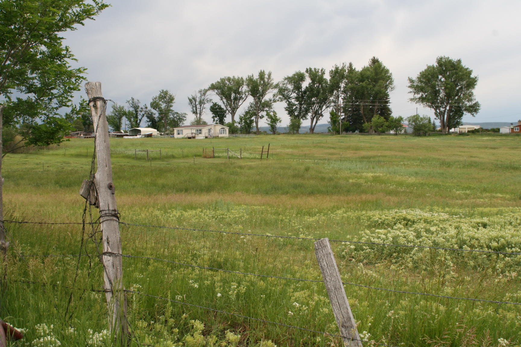 35310 Highway 145 Redvale, CO 81431 - Photo 22 of 38 a view of a field with grass
