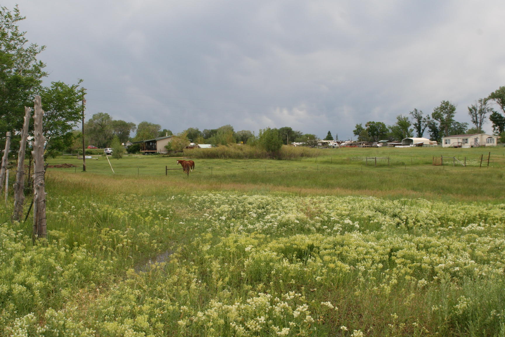 35310 Highway 145 Redvale, CO 81431 - Photo 23 of 38 a view of outdoor space and yard