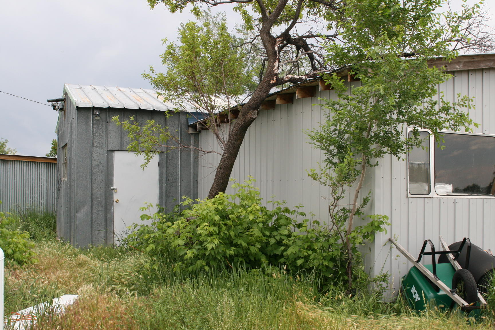 35310 Highway 145 Redvale, CO 81431 - Photo 28 of 38 a backyard of a house with plants and tree