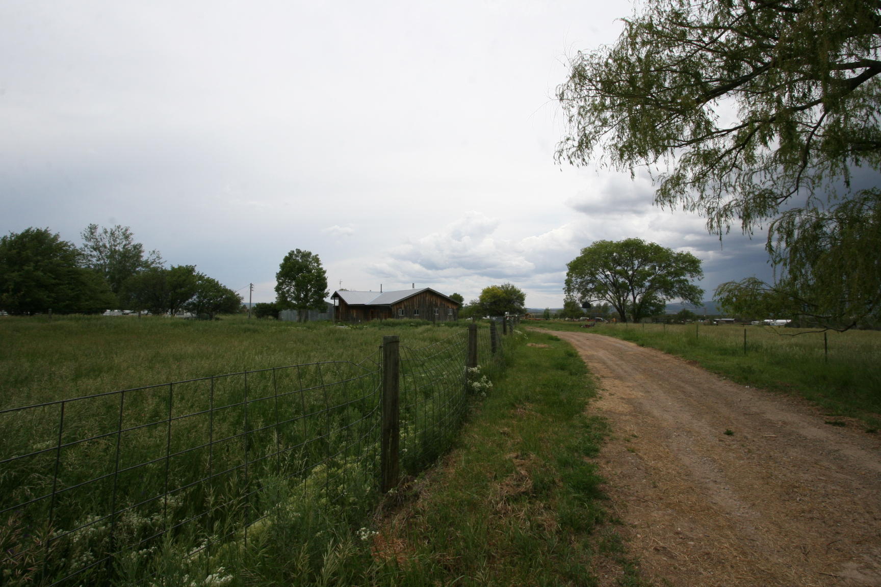 35310 Highway 145 Redvale, CO 81431 - Photo 38 of 38 a view of a field of grass and trees