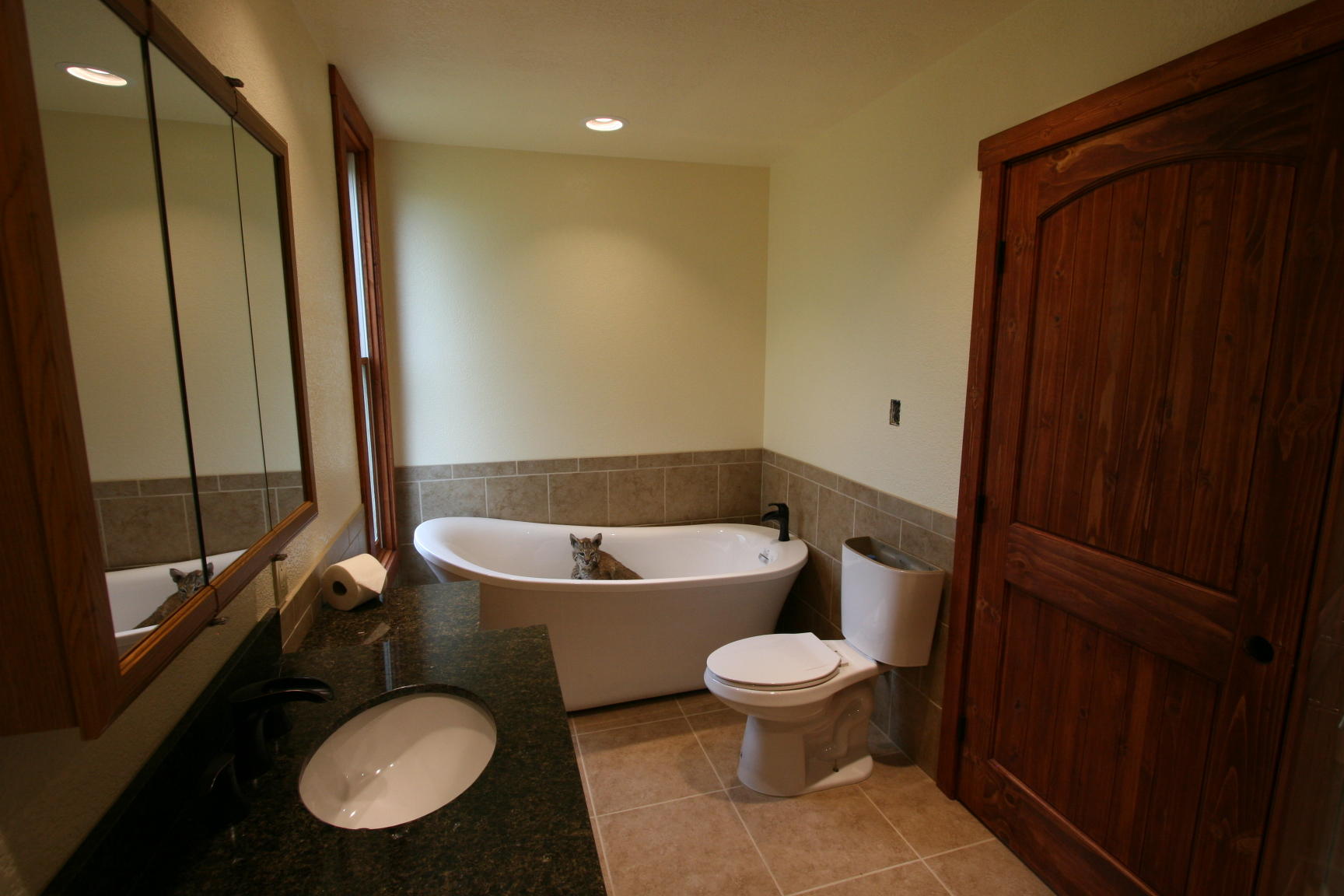 35310 Highway 145 Redvale, CO 81431 - Photo 9 of 38 a white toilet sitting next to a bathroom sink