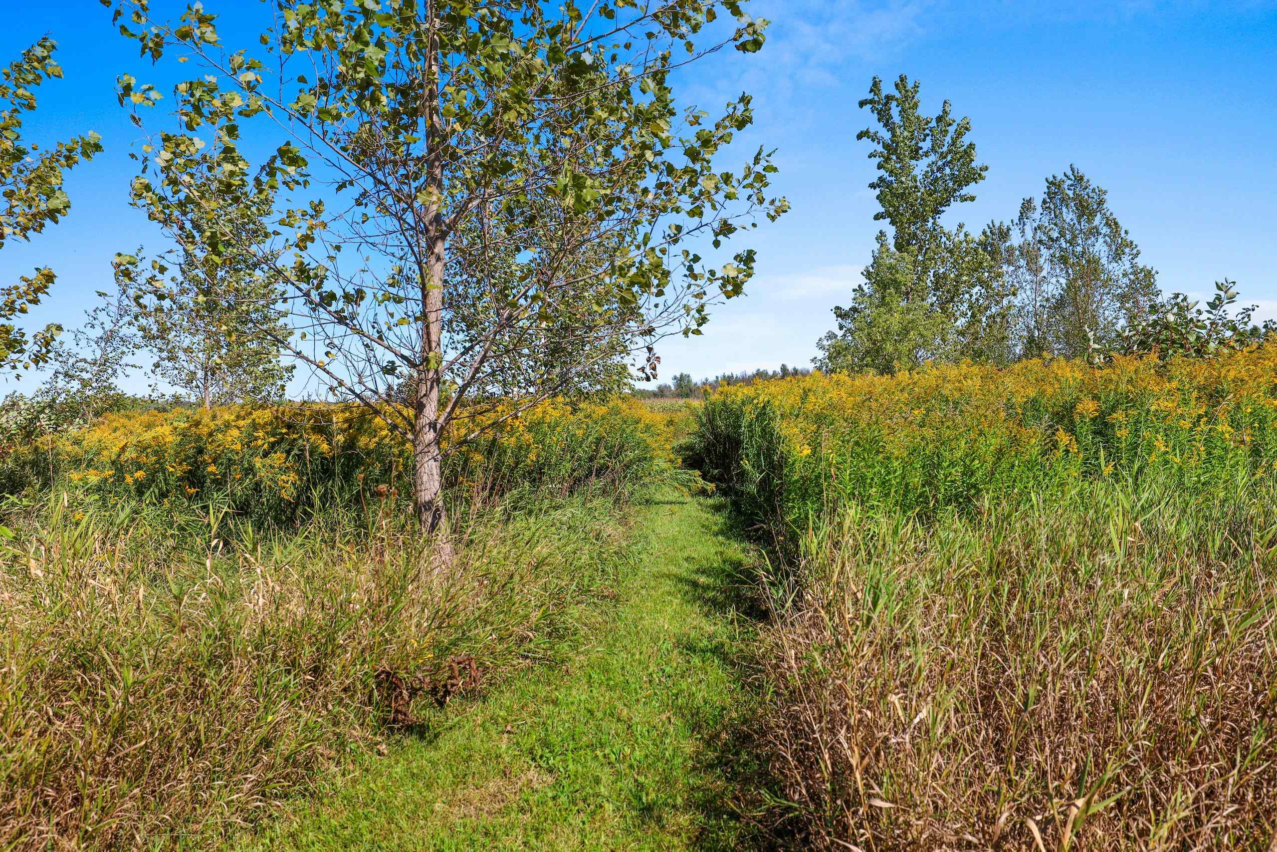 N2542 County Rd F Pulaski, WI 54162 - Photo 37 of 65 Gallery Image 37