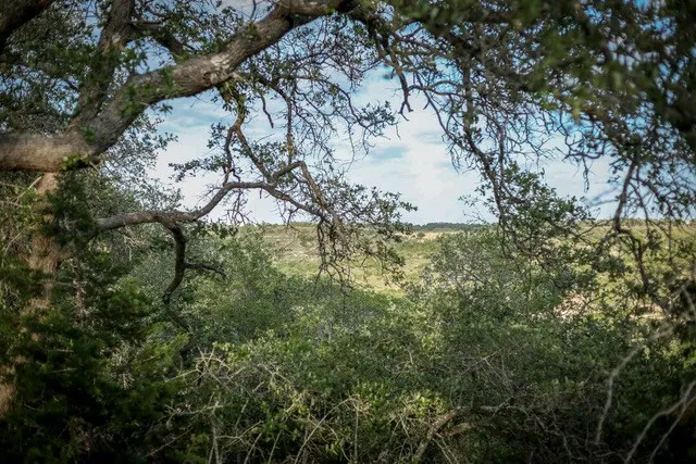 $229,000 | Lot 116 Majestic Hls Drive, Unit 116, Blanco, TX 78606