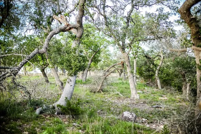 $229,000 | Lot 116 Majestic Hls Drive, Unit 116, Blanco, TX 78606