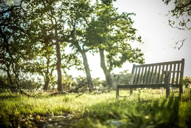 $229,000 | Lot 116 Majestic Hls Drive, Unit 116, Blanco, TX 78606