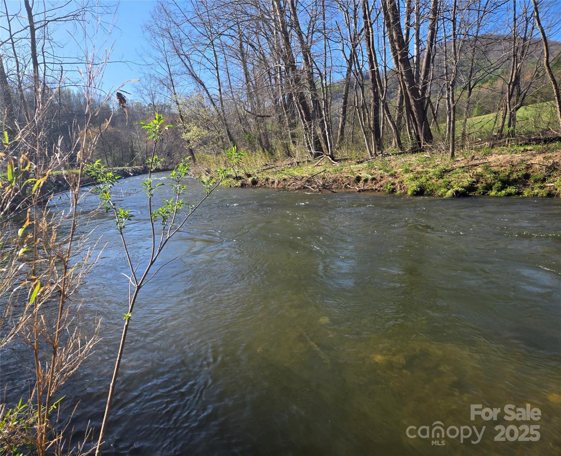 1418 Caney Fork Road Cullowhee, NC 28723 - Photo 3 of 18 Gallery Image 3