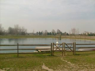 7853 Roloff Road Ottawa Lake, MI 49267 - Photo 18 of 20 pond w/bubbler