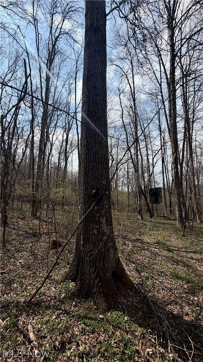 9100 Post Road Jewett, OH 43986 - Photo 29 of 46