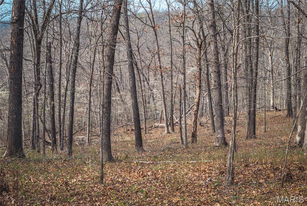 0 Golden Acres Road Lincoln, MO 65338 - Photo 11 of 11