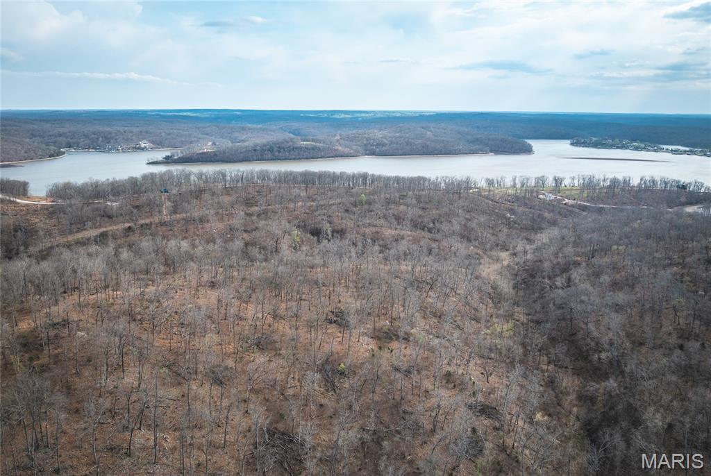 0 Golden Acres Road Lincoln, MO 65338 - Photo 2 of 11